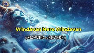 Vrindavan Mero Vrindavan Slowed amp Reverb Lodi🥺❤️🙏 ll Radhe Krishna songs ll Vrindavan ll [upl. by Ayanal437]