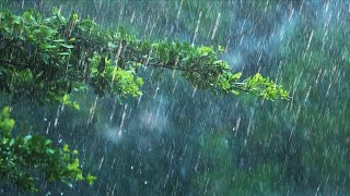 24 Hours Rain amp Thunder  Rainstorm Sounds for Sleep Studying or Relaxation  Nature White Noise [upl. by Baerl]