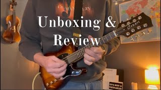 I Bought the Cheapest Electric Mandolin on EBay Cozart Electric Mandolin Unboxing and Review [upl. by Trill]