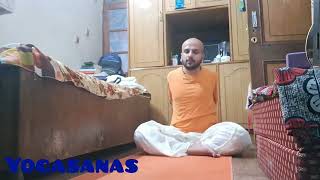 Day 28 Yogasanas Shakti Chalana Kriya Shambhavi Mahamudra Shoonya DKD Yoga debukidastak [upl. by Relyhs]