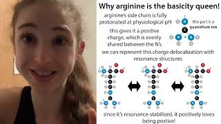 “Basic amino acids”  protonation of His Lys amp Arg and why arginine is the most basic [upl. by Halsy]