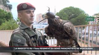 Le 17e régiment du génie parachutiste de Montauban à Monaco [upl. by Lockhart]