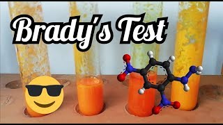 Bradys Test [upl. by Penman]