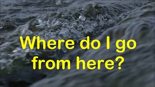 Where do I go from here song by Jim Reeves with Lyrics [upl. by Silverman778]