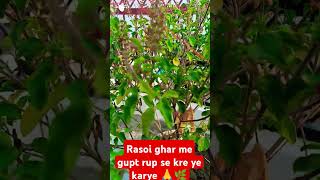 Rasoi ghar me kre gupt karye  annapurna  vastushastra  astrology  trending short video [upl. by Netloc795]