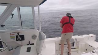 Halibut fishing Newport oregon [upl. by Novaj60]