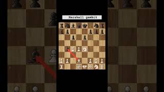 Marshall gambit  chess  Best chess  best chess game chess chessmatch viralvideo trending [upl. by Resee68]