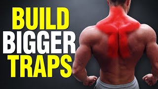 Top 5 Exercises for BIGGER TRAPS UPPERMIDLOWER [upl. by Phox]