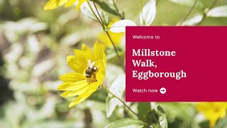 Taylor Wimpey  Welcome to Millstone Walk Eggborough [upl. by Ojimmas]