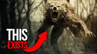 Disturbing Creature Encounters That Are Going Viral [upl. by Cressy]