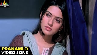 Abhinandana అభినందన Telugu Movie Songs Jukebox  Karthik Sobhana  Telugu Juke Box [upl. by Cherish879]