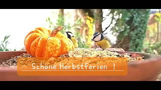 Schöne Herbstferien [upl. by Yelsek231]