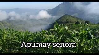 SANJUANITO ECUATORIANO  APUMAY SEÑORA [upl. by Jordans]