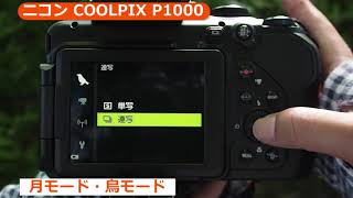 ニコン COOLPIX P1000（カメラのキタムラ動画Nikon） [upl. by Ayotnom]