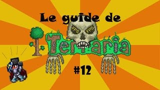 Le guide de Terraria  Un problème assez dérangeant 12 [upl. by Erdne]