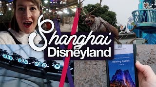 Buying Fastpasses at Shanghai Disney  Premier Access Pass June 2018 LAST VLOG [upl. by Ocsirf634]