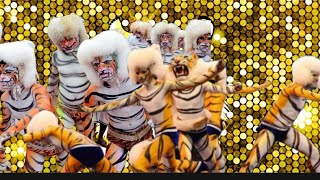 TRUMPET PILI DANCE FULL SONG🎷🎷tigerdance tiger manglore udupi tulunadu [upl. by Tiedeman]