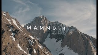 MAMMOTH [upl. by Nellad]