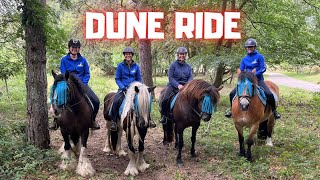 Trail ride through the dunes and forest With Daans Horses with Dutch champions Friesian Horses [upl. by Adorl]