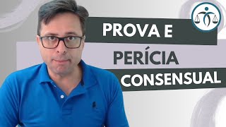 O que é a PROVA ou PERÍCIA CONSENSUAL [upl. by Biggs585]