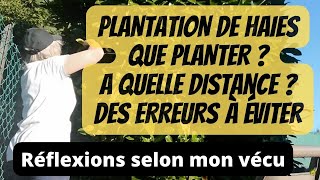 Haie persistante avantages et inconvénients et comment planter sa haie [upl. by Yetnruoc228]