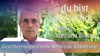 Doc Uli erklärt kurz und knackig wie sich die geschlechtsspezifischen Merkmale entwickeln [upl. by Niamjneb655]