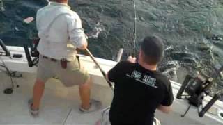 King Salmon Fishing Lake Michigan Muskegon Charter Fishing [upl. by Hinda564]