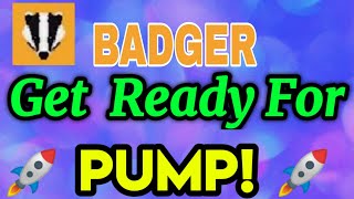 BADGER coin Urgent News BADGER Price Prediction [upl. by Darton]