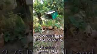 27 Decimal Plot Sittong Darjeeling  750 Lac 360° Kanchenjunga View bestpropertysamir shorts [upl. by Kered]