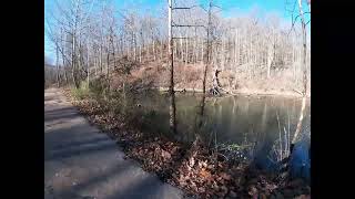 Biking Mineral to Moonville  Moonville Rail Trail [upl. by Nnaerb]