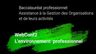 Bac Pro AGORA  DIAPO  Lenvironnement professionnel [upl. by Nirual]