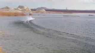 18 Scale Miss Budweiser at Lake Powell [upl. by Kerk]