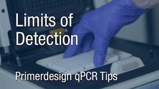 Primerdesign qPCR Tips  Limits of Detection [upl. by Javier905]