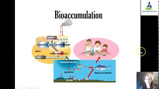 1L Bioaccumulation [upl. by Gaile]