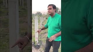 Drip Irrigation system dripirrigation microirrigation [upl. by Nohsed]