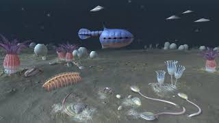 First Animals  Cambrian ocean scene [upl. by Adlez]