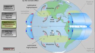 Global Atmospheric Circulation [upl. by Aneleasor]