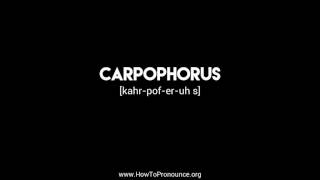 How to Pronounce quotcarpophorusquot [upl. by Adianes]