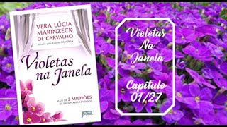 Violetas na Janela Livro Áudio ESPIRITA [upl. by Anwahsat]