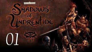 Neverwinter Nights Shadows of Undrentide  01  Introduction [upl. by Emanuela]