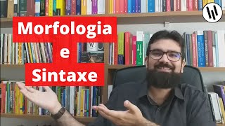 Morfologia e sintaxe o que estudam Quais suas diferenças  Professor Weslley Barbosa [upl. by Sikes]