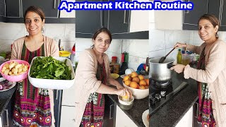 Apartment Mein Meri Kitchen Routine  Plazza mein Amna Ka Kase Khyal Rakhti Hoon   AyeshaLifeStyle [upl. by Alboran]