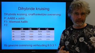 Biologie VWO BB Ontkoppeling en polygene overerving [upl. by Eciralc78]