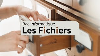 les fichiers01 présentation quotProgrammationBac informatique quot [upl. by Dimphia]