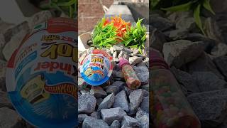 Kinder Joy Box Popsicle shorts​ youtubeshorts​ kinderjoy [upl. by Ahsoym]