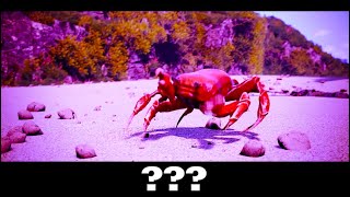 15 Crab Rave Sound Variations in 60 Seconds [upl. by Samuela]