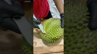 DURIAN BABON BERAT 7 KG durian bawor masduren [upl. by Ketti]