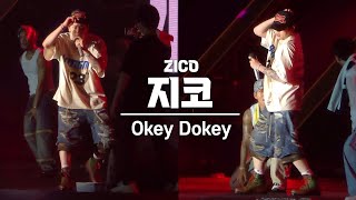 지코ZICO Okey Dokey 세로 직캠 워터밤 2024 240705 [upl. by Adnilem884]