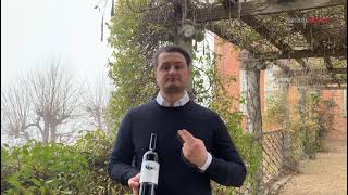 Barolo Dagromis 2018  Gaja  Piedmont [upl. by Nevar359]