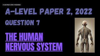 Paper 2 2022  Q7 Divisions of the Nervous System [upl. by Auqinehs]